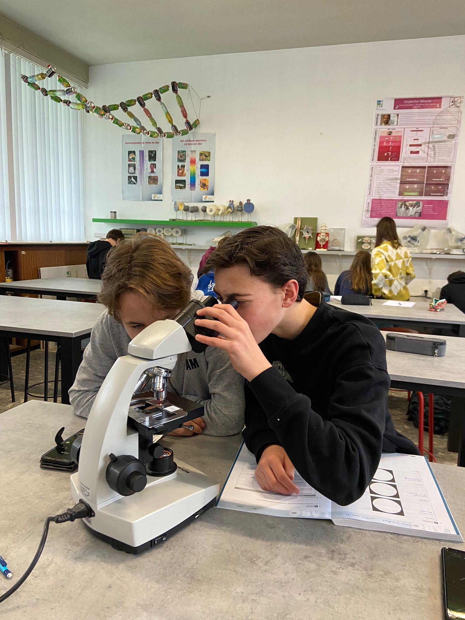 2de graad Natuurwetenschappen